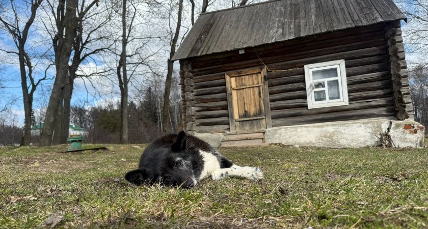 Строгие правила для владельцев дач и участков: что нужно знать Строгие правила для владельцев дач и участков: что нужно знать