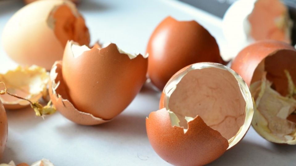 Натуральное удобрение из яичной скорлупы: секрет богатого урожая Натуральное удобрение из яичной скорлупы: секрет богатого урожая
