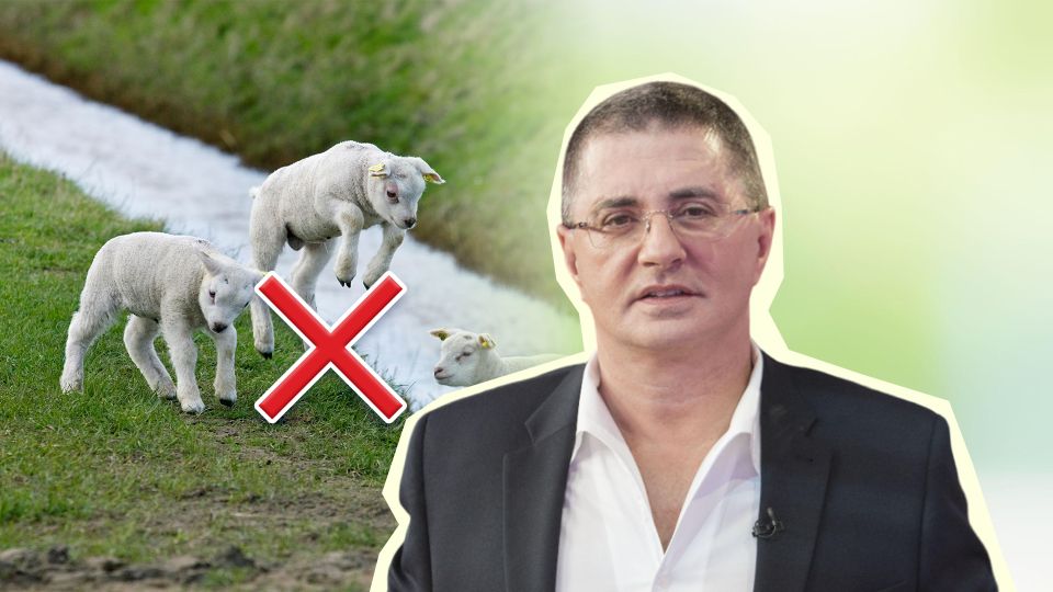 Как быстро заснуть без лекарств: советы от известного врача Как быстро заснуть без лекарств: советы от известного врача