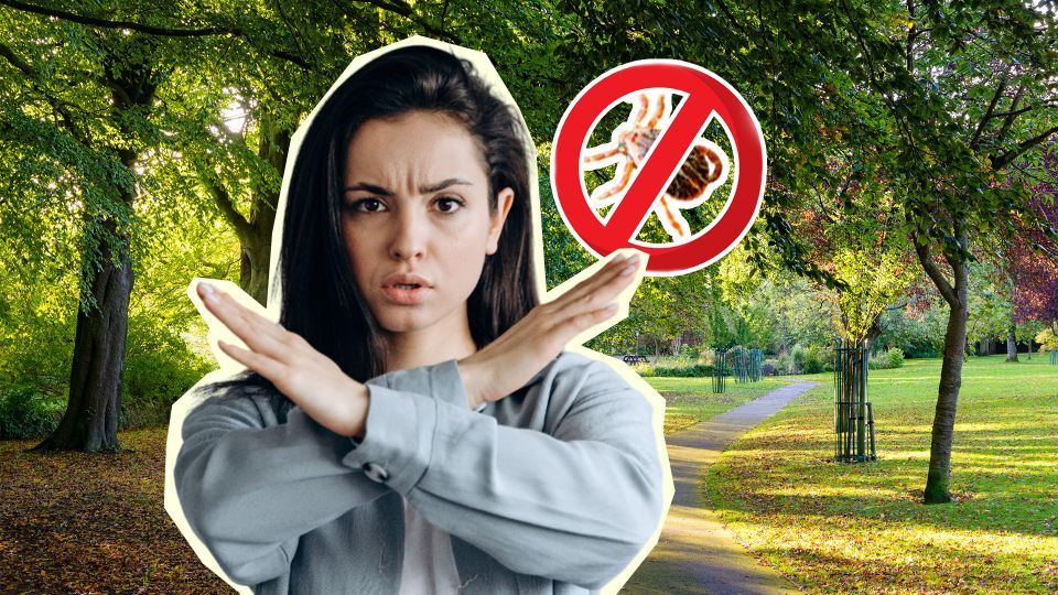 Как запахи становятся магнитом для клещей: советы, чтобы избежать укусов Как запахи становятся магнитом для клещей: советы, чтобы избежать укусов