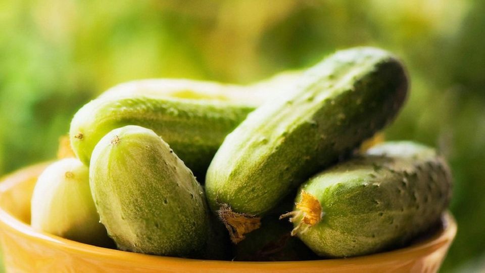 Жареные огурцы: необычный салат, который удивит вас вкусом Жареные огурцы: необычный салат, который удивит вас вкусом