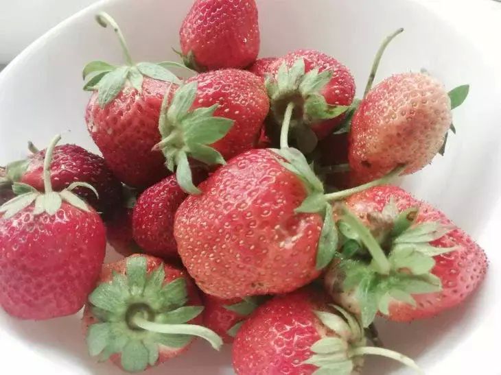 Ягода молодости для сосудов: вкусное средство для здоровья артерий Ягода молодости для сосудов: вкусное средство для здоровья артерий