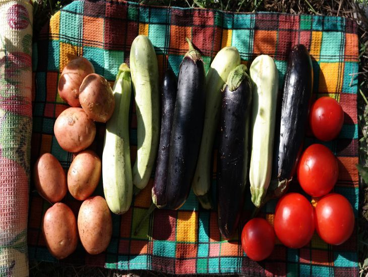 Овощные котлетки: вкусно и полезно Овощные котлетки: вкусно и полезно
