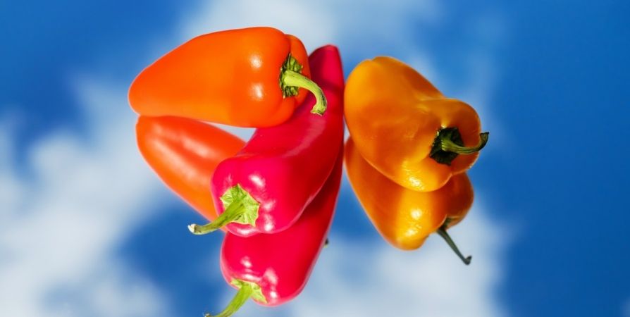Печёный перец по-новому: салат, который съедают до последней ложки Печёный перец по-новому: салат, который съедают до последней ложки