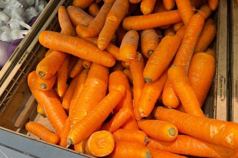 Как защитить морковь от вредителей: простой и эффективный способ Как защитить морковь от вредителей: простой и эффективный способ