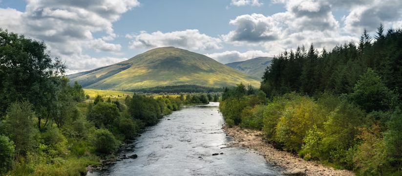 Плюм Лены: как пресная вода меняет восточную Арктику