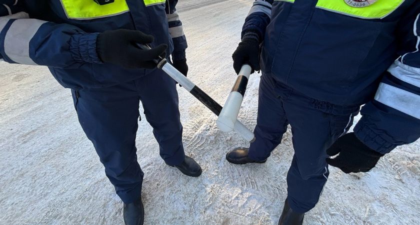 Новые возможности для водителей категории «B»: управление квадроциклами и снегоходами без лишних хлопот