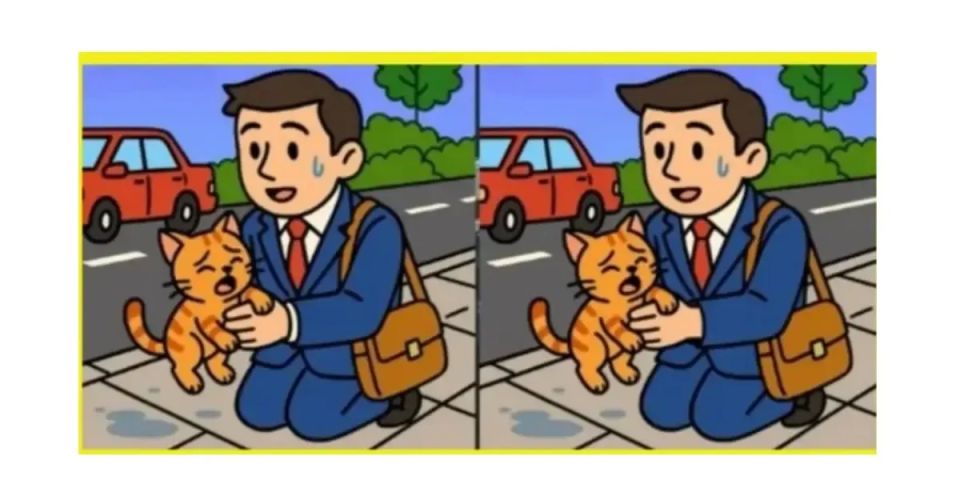 Сможете ли вы найти 3 отличия за 15 секунд? Проверьте свою внимательность!