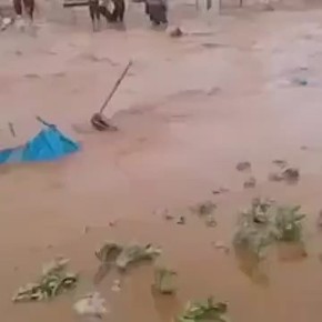 Живите как хотите. Ситуация в сирийских лагерях беженцев плачевная, о чем свидетельствуют публикуемые в Сети кадры спустя год после свержения Башара Асада