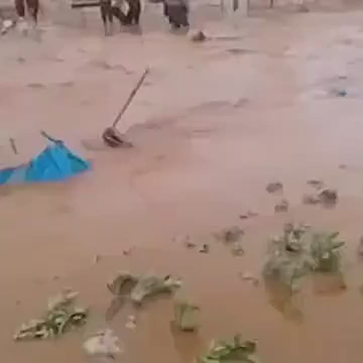 Живите как хотите. Ситуация в сирийских лагерях беженцев плачевная, о чем свидетельствуют публикуемые в Сети кадры спустя год после свержения Башара Асада